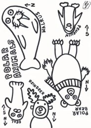 Polar animals