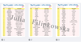 Bogactwo językowe / Matura / Must have matura / Matura exam / Notatka / Writing / Wypowiedź pisemna maturalna / E-mail / Mail / Email / Blog