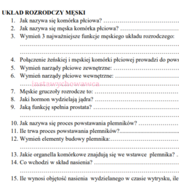 Układ rozrodczy męski - karta pracy