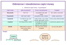 Części mowy w pigułce przed ezgaminem