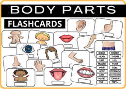 BODY PARTS - FLASHCARDS