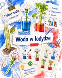 Woda w łodydze