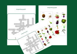 ORTOGRAFICZNY OGRÓD - KRZYŻÓWKA obrazkowa – ortografia – ćwiczenia redakcyjne