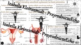 Sketchnotka „Układ rozrodczy umożliwia wydawanie na świat potomstwa ” w power point do edycji, PRZYRODA do klasy 4 – dział IV „Odkrywamy tajemnice ciała człowieka”