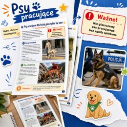 Psy pracujące. Nie każdy pies tylko się bawi