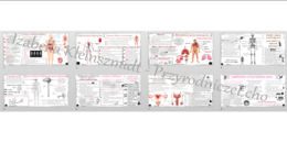 Zestaw 8 sketchnotek do przyrody w klasie 4 wykonanych w power point do edycji, PRZYRODA do klasy 4, dział IV – „Odkrywamy tajemnice ciała człowieka”
