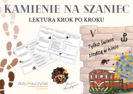 KAMIENIE NA SZANIEC: Krok po kroku – karta pracy do lektury