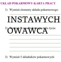 Układ pokarmowy-karta pracy