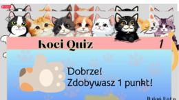 Koci Quiz