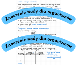 Znaczenie wody dla organizmów karta pracy/notatka/zadanie/eksperyment