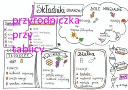 Klasa 5. Biologia. Składniki organizmu.
