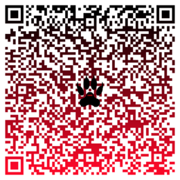 Innowacja programowo-metodyczna: historia w QRcodach