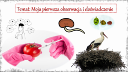 Moja pierwsza obserwacja i doświadczenie