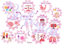 O CZYM BĘDĘ SIĘ UCZYŁ W TYM ROKU NA BIOLOGII? Obrazkowe karty na pierwszą lekcję dla klas 5-8.