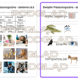 Związki frazeologiczne - zadania cz.5