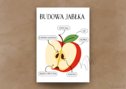 DZIEŃ JABŁKA - ZESTAW