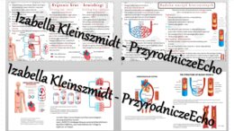 Sketchnotka - notatka „Krążenie krwi” wykonana w power point do edycji. Biologia 7; „Układ krążenia”