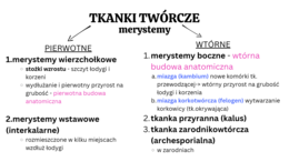 Tkanki roślinne KLASA 2 ROZSZERZENIE