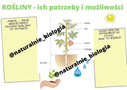 Roślina - potrzeby i możliwości