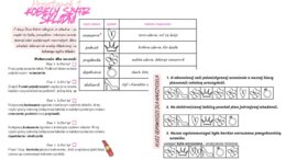 Składnia jest Kobietą