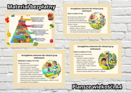 Piramida Żywienia - Bezpłatny Materiał