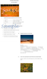 On Holiday with Past Simple