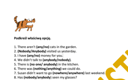 NO.../ ANY....- ćwiczenie utrwalające z kluczem- 20 zdań