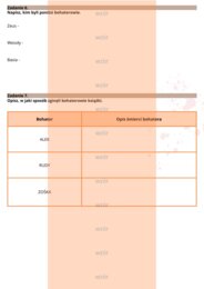 Kamienie na szaniec - sprawdzian