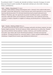 Informator – Historia – Starożytność. Karty Pracy i Ciekawostki. Materiał dydaktyczny w formacie PDF (83 strony)