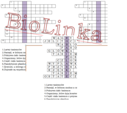 Logogryf dla klasy 6 na podsumowanie lekcji o płazińcach