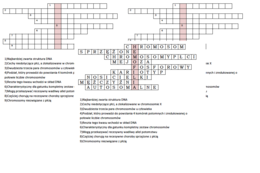 Logogryf na podsumowanie lekcji biologii w klasie 8 o dziedziczeniu płci u człowieka