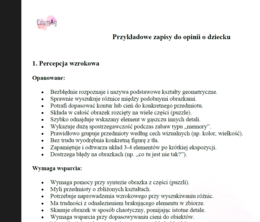 KOMPLETNY PAKIET DO ZAJĘĆ KOREKCYJNO-KOMPENSACYJNYCH W PRZEDSZKOLU