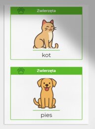 Karty obrazkowe: "Moje pierwsze słowa"