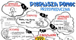 PIERWSZA POMOC PRZEDMEDYCZNA by Alicja Soszka (plakat)