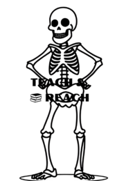 Halloween flashcards kolorwanki dla przedszkolaków angielski