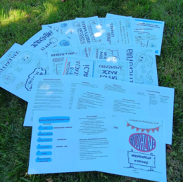 innowacja pedagogiczna w klasach 1 - 3 - WIZUALIZACJA W EDUKACJI