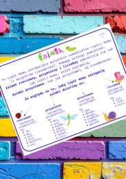 Zaimek - wklejka do zeszytu