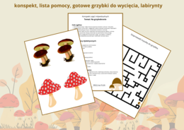 TERAPIA RĘKI Na grzybobranie – zabawy ruchowe i manualn