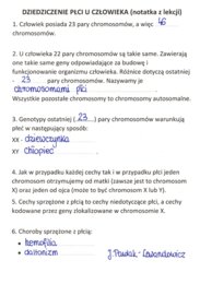 Dziedziczenie płci u człowieka - sketchnotka