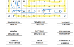 Podsumowanie - bezkręgowce i wprowadzenie do kręgowców