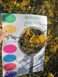 Wiosenne lupy i karty spaceru