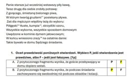 Pan Tadeusz ćwiczenie_test