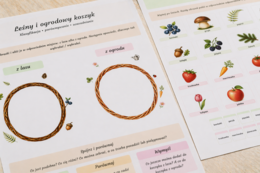 Leśny i ogrodowy koszyk – klasyfikacja