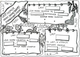 Rodzaje lasów. Karta pracy. Klasa 4