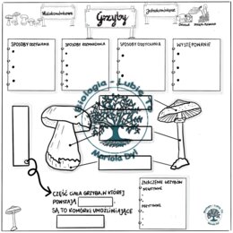 Grzyby kl.5 Karta pracy