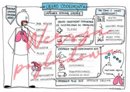 Układ oddechowy zapewnia wymianę gazową - przyroda kl. 4 - karta pracy wypełniona