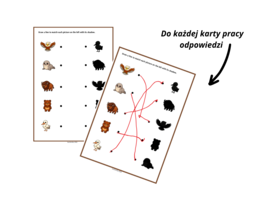 Discover Poland -Symbole i Kultura Polski po Angielsku