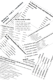 Brainy 6 – Unit 1 – vocabulary revision