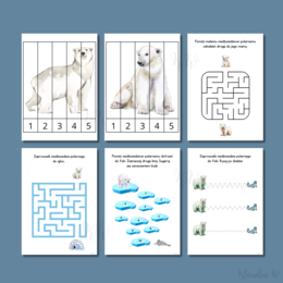 Dzień Niedźwiedzia Polarnego - zestaw