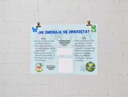 Plakaty edukacyjne. Cykl życia roślin i zwierząt. Różnorodność biologiczna. Jak chronić środowisko? Pięć zasad ekologii.